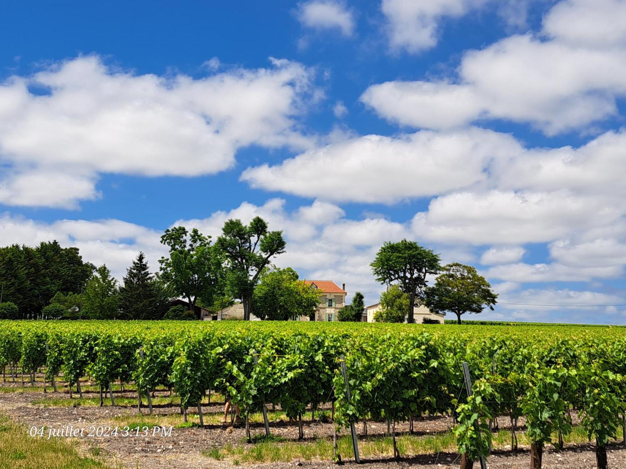 La Metairie Au Milieu Des Vignes Apartment Réaux Exterior foto