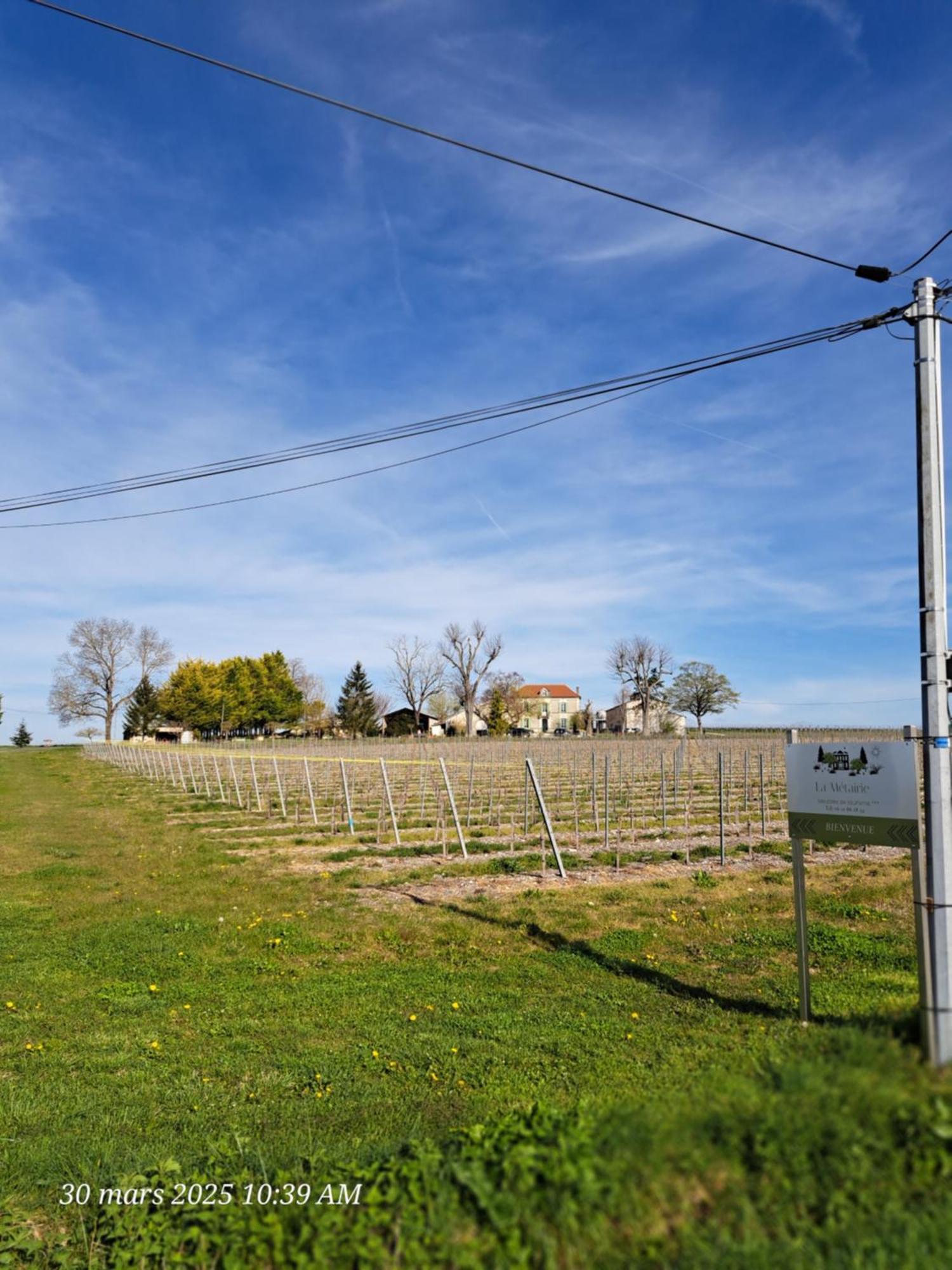 La Metairie Au Milieu Des Vignes Apartment Réaux Exterior foto