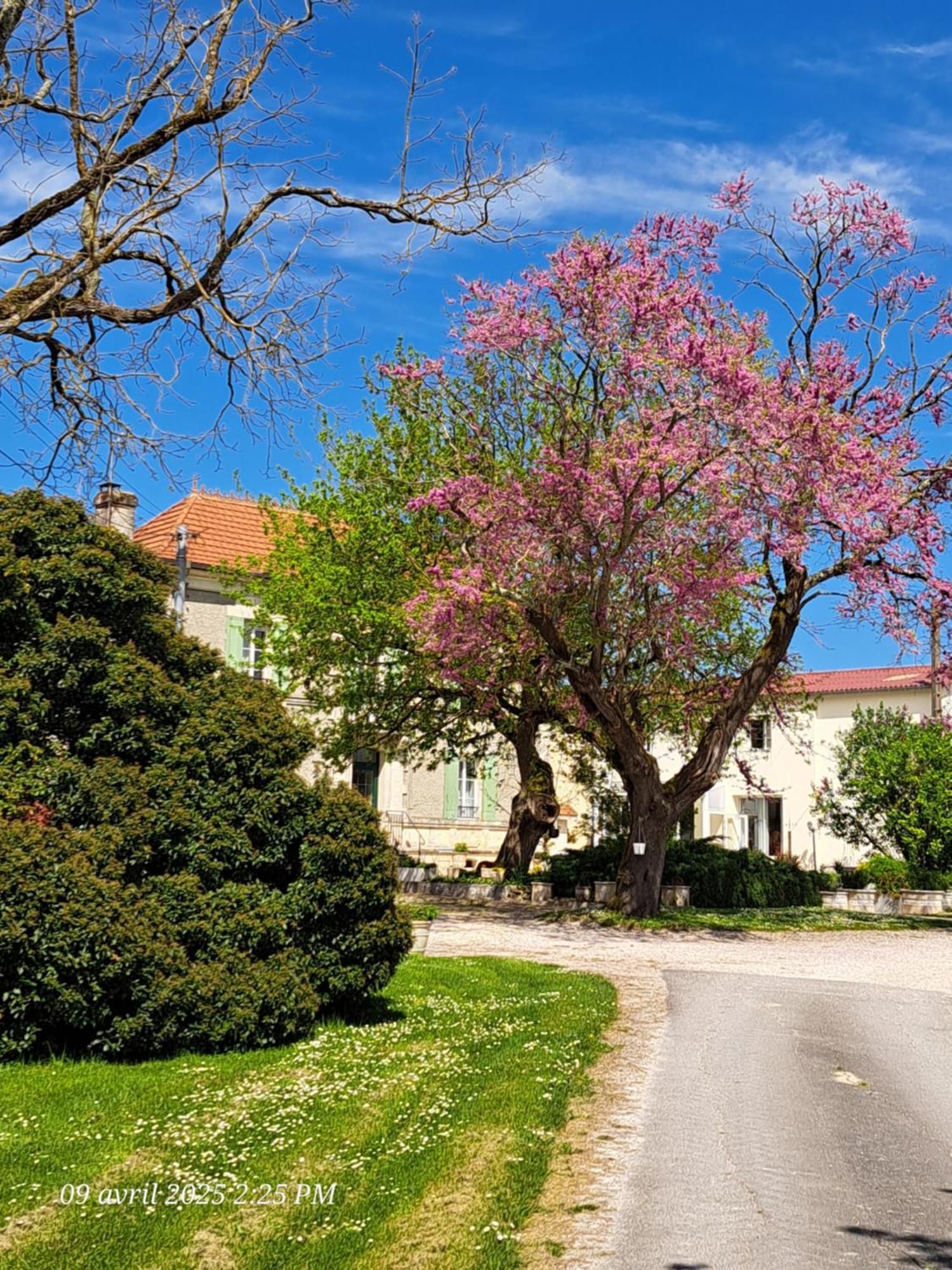 La Metairie Au Milieu Des Vignes Apartment Réaux Exterior foto